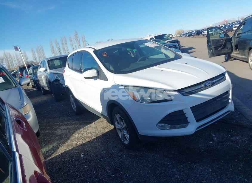 2013 Ford Escape SE (VIN 1FMCU0GXXDUB84944) main photo
