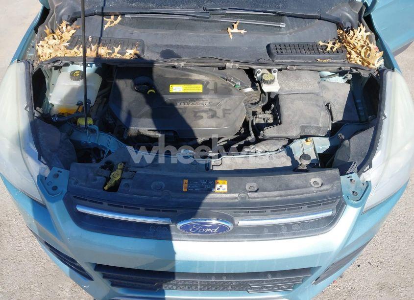 Photo 10 of 2013 Ford Escape SE (VIN 1FMCU0GXXDUC54670)