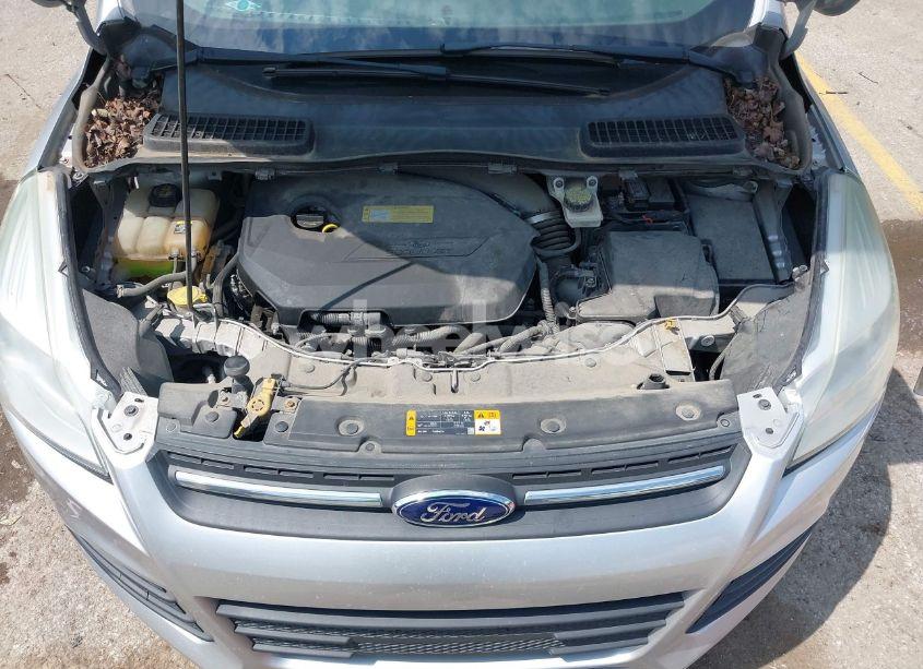 Photo 10 of 2013 Ford Escape SE (VIN 1FMCU0GXXDUC92917)