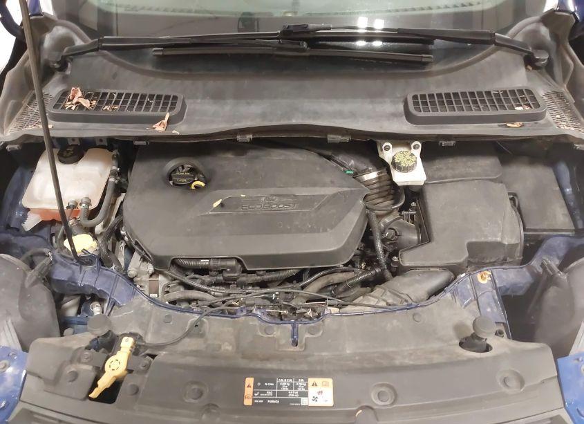 Photo 10 of 2014 Ford Escape SE (VIN 1FMCU0GXXEUA83470)