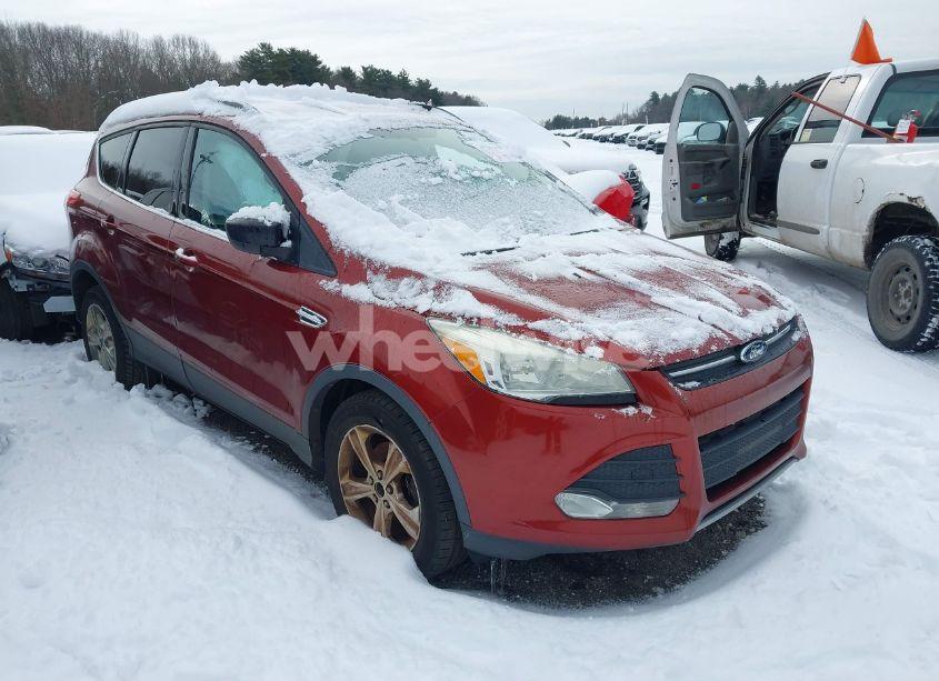 2014 Ford Escape SE (VIN 1FMCU0GXXEUB08318) main photo