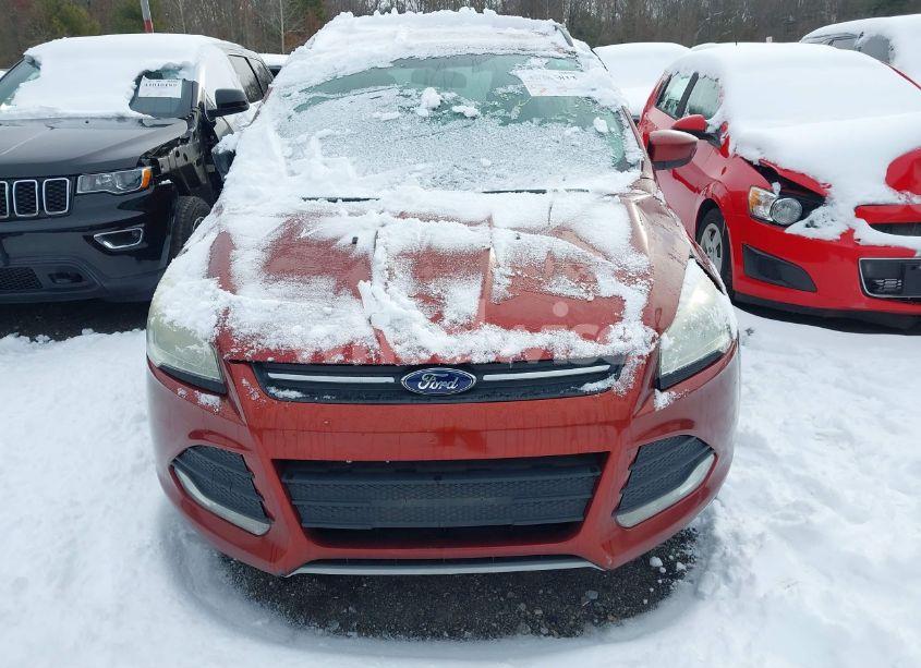 Photo 12 of 2014 Ford Escape SE (VIN 1FMCU0GXXEUB08318)