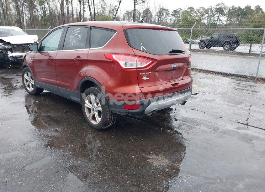 Photo 3 of 2014 Ford Escape SE (VIN 1FMCU0GXXEUB23398)