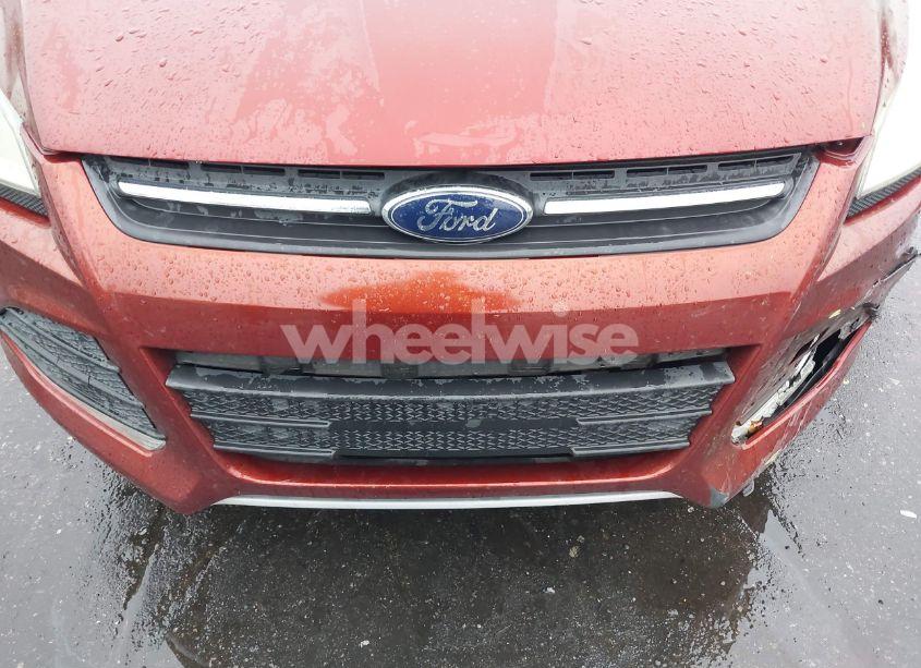 Photo 6 of 2014 Ford Escape SE (VIN 1FMCU0GXXEUB23398)