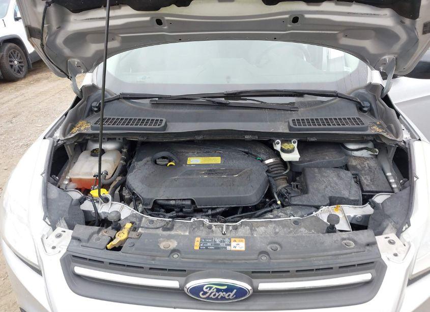 Photo 10 of 2014 Ford Escape SE (VIN 1FMCU0GXXEUB27936)