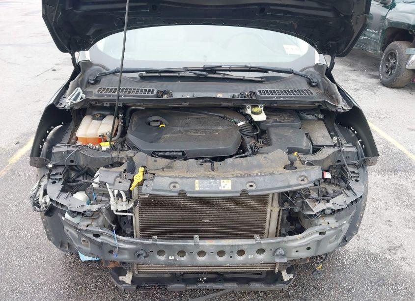 Photo 10 of 2014 Ford Escape SE (VIN 1FMCU0GXXEUB53906)