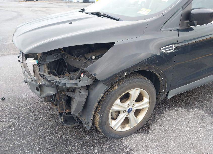 Photo 13 of 2014 Ford Escape SE (VIN 1FMCU0GXXEUB53906)