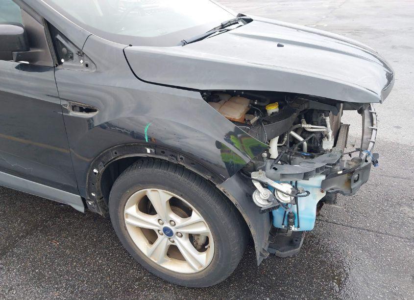 Photo 14 of 2014 Ford Escape SE (VIN 1FMCU0GXXEUB53906)