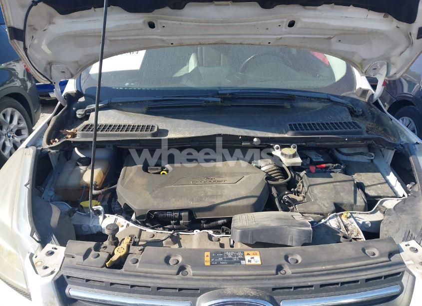 Photo 10 of 2014 Ford Escape SE (VIN 1FMCU0GXXEUB59964)