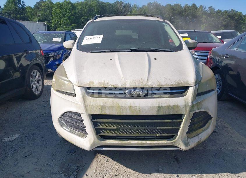 Photo 12 of 2014 Ford Escape SE (VIN 1FMCU0GXXEUB59964)