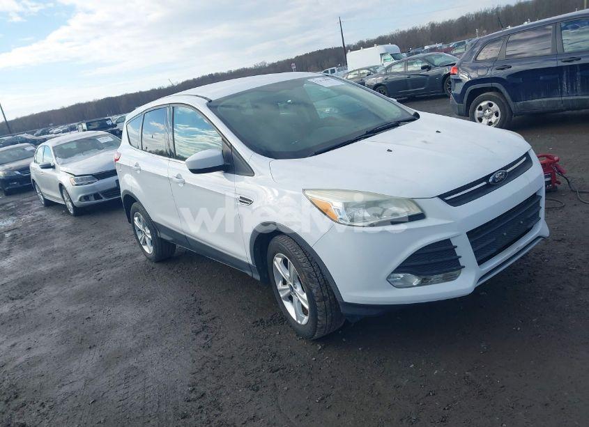 2014 Ford Escape SE (VIN 1FMCU0GXXEUB66574) main photo