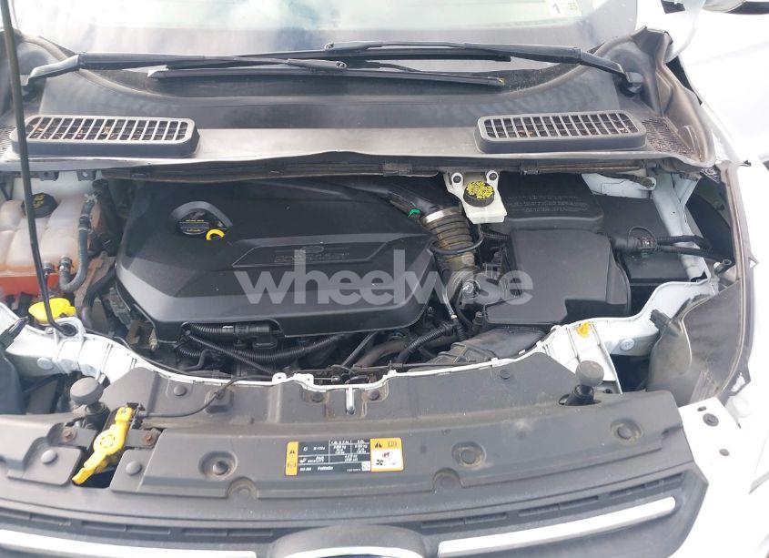 Photo 10 of 2014 Ford Escape SE (VIN 1FMCU0GXXEUB66574)