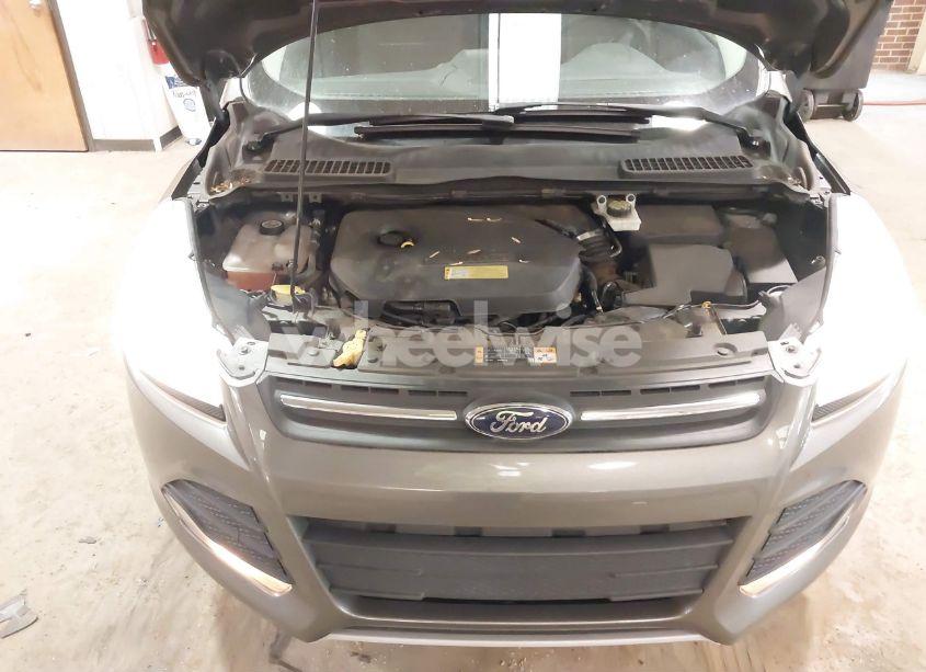 Photo 10 of 2014 Ford Escape SE (VIN 1FMCU0GXXEUB75999)