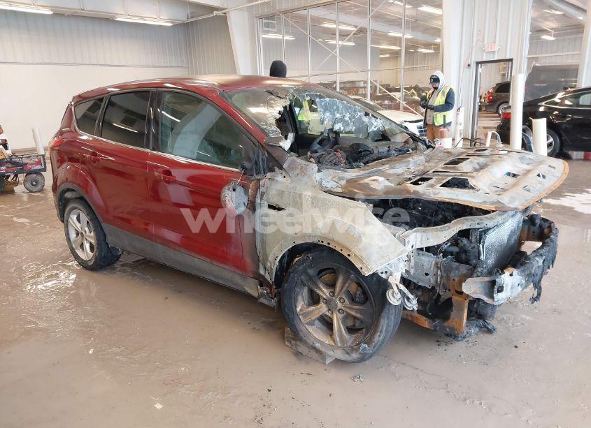 2014 Ford Escape SE (VIN 1FMCU0GXXEUC16308) main photo