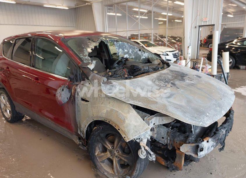 Photo 12 of 2014 Ford Escape SE (VIN 1FMCU0GXXEUC16308)