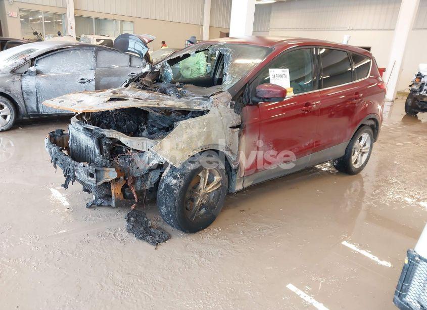 Photo 2 of 2014 Ford Escape SE (VIN 1FMCU0GXXEUC16308)