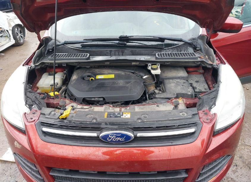 Photo 10 of 2014 Ford Escape SE (VIN 1FMCU0GXXEUC28331)