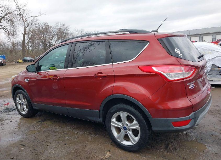 Photo 14 of 2014 Ford Escape SE (VIN 1FMCU0GXXEUC28331)