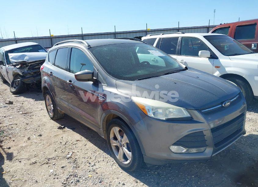 2014 Ford Escape SE (VIN 1FMCU0GXXEUC36669) main photo