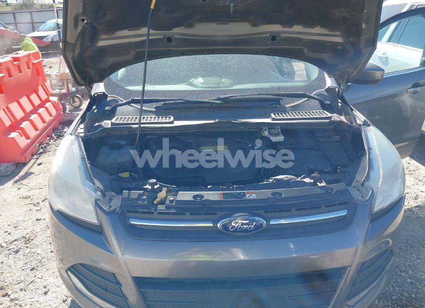 Photo 10 of 2014 Ford Escape SE (VIN 1FMCU0GXXEUC36669)