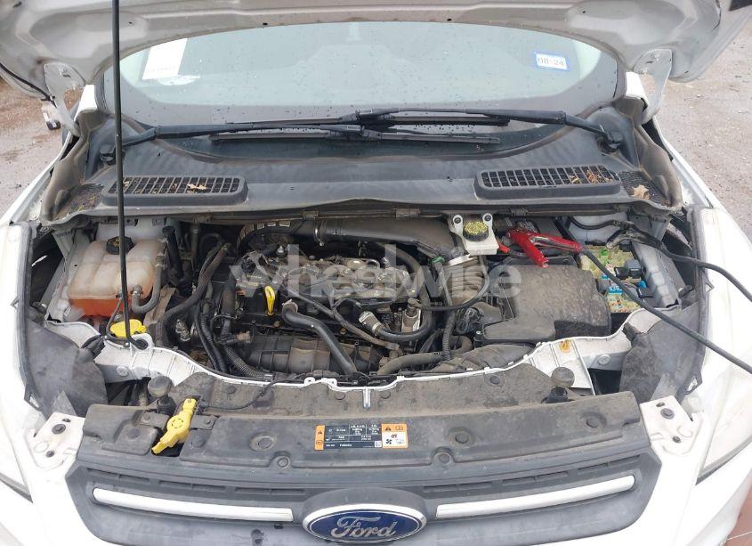 Photo 10 of 2014 Ford Escape SE (VIN 1FMCU0GXXEUC36770)