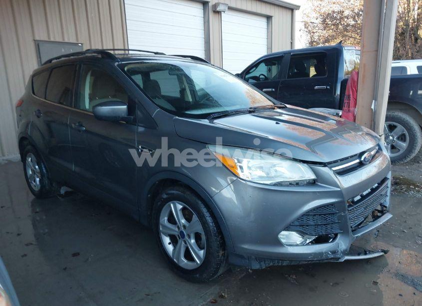 2014 Ford Escape SE (VIN 1FMCU0GXXEUC64780) main photo