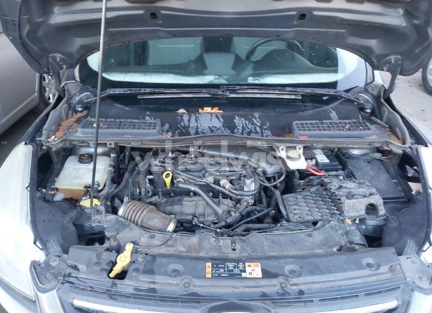 Photo 10 of 2014 Ford Escape SE (VIN 1FMCU0GXXEUC64780)