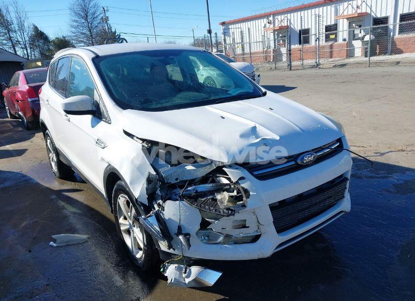 2014 Ford Escape SE (VIN 1FMCU0GXXEUD33113) main photo
