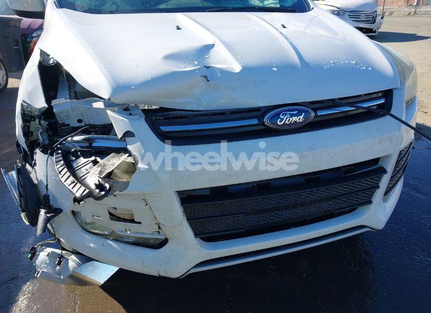 Photo 6 of 2014 Ford Escape SE (VIN 1FMCU0GXXEUD33113)