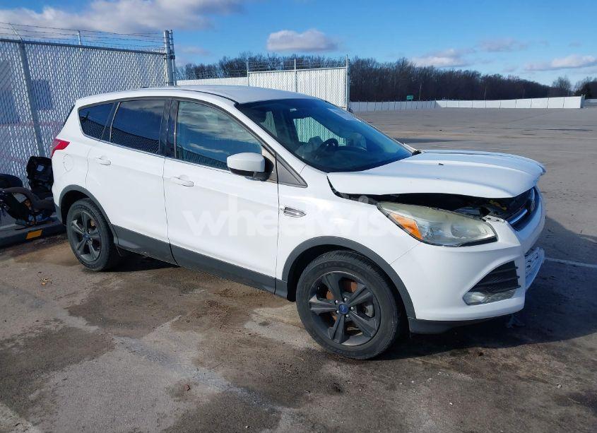 2014 Ford Escape SE (VIN 1FMCU0GXXEUD59517) main photo