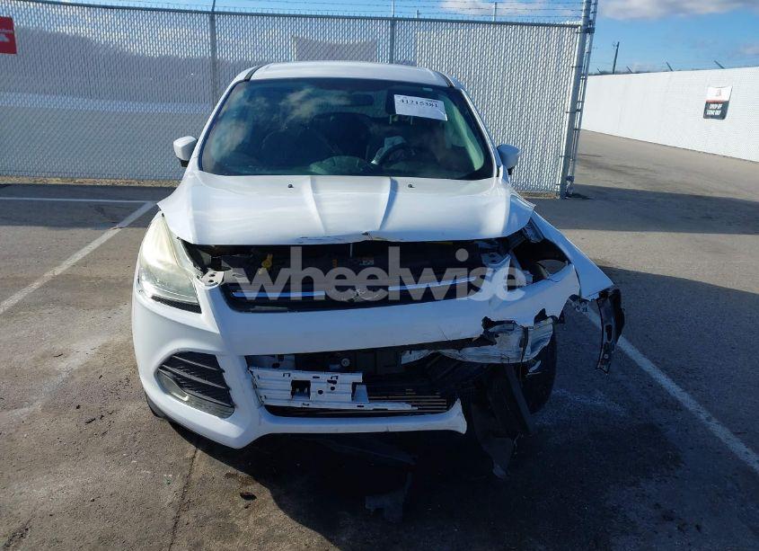 Photo 13 of 2014 Ford Escape SE (VIN 1FMCU0GXXEUD59517)