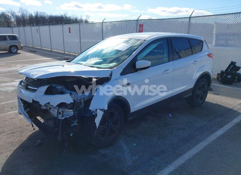 Photo 2 of 2014 Ford Escape SE (VIN 1FMCU0GXXEUD59517)