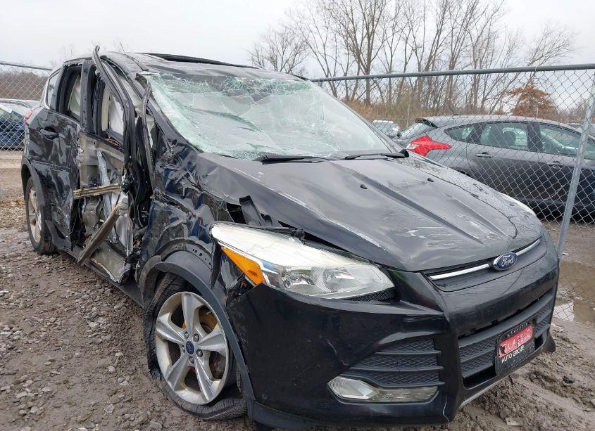 2014 Ford Escape SE (VIN 1FMCU0GXXEUD70906) main photo