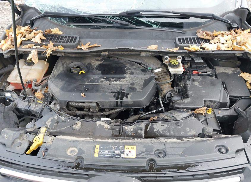 Photo 10 of 2014 Ford Escape SE (VIN 1FMCU0GXXEUD70906)