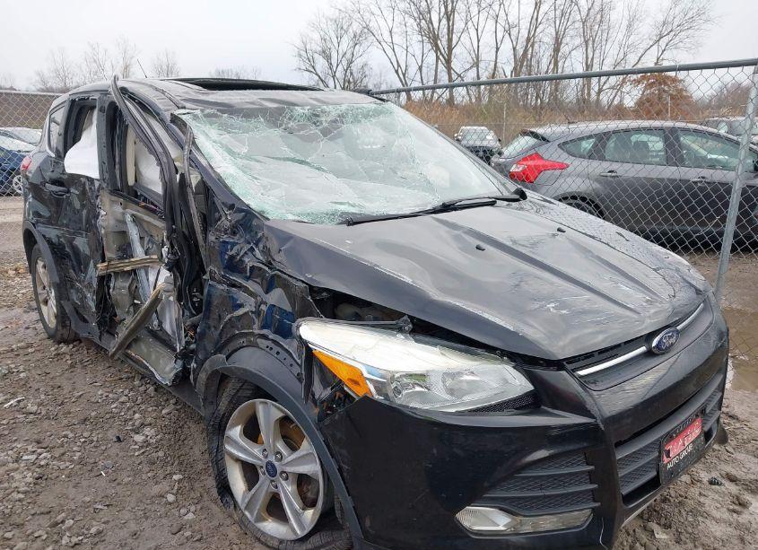 Photo 6 of 2014 Ford Escape SE (VIN 1FMCU0GXXEUD70906)