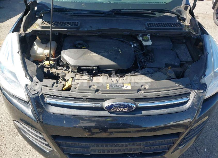 Photo 10 of 2014 Ford Escape SE (VIN 1FMCU0GXXEUE35415)