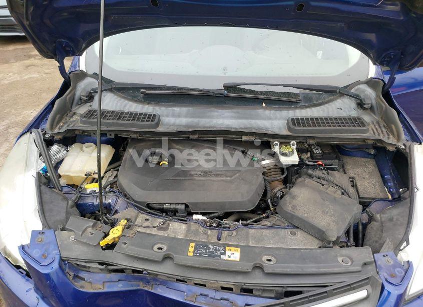 Photo 10 of 2015 Ford Escape SE (VIN 1FMCU0GXXFUA22993)