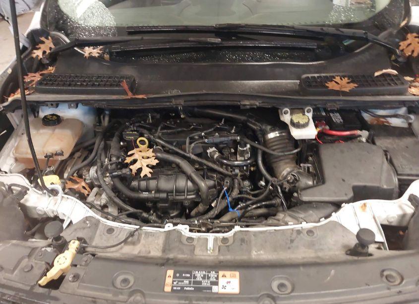 Photo 10 of 2015 Ford Escape SE (VIN 1FMCU0GXXFUA66282)