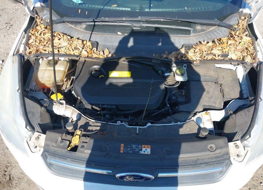 Photo 10 of 2015 Ford Escape SE (VIN 1FMCU0GXXFUA99654)