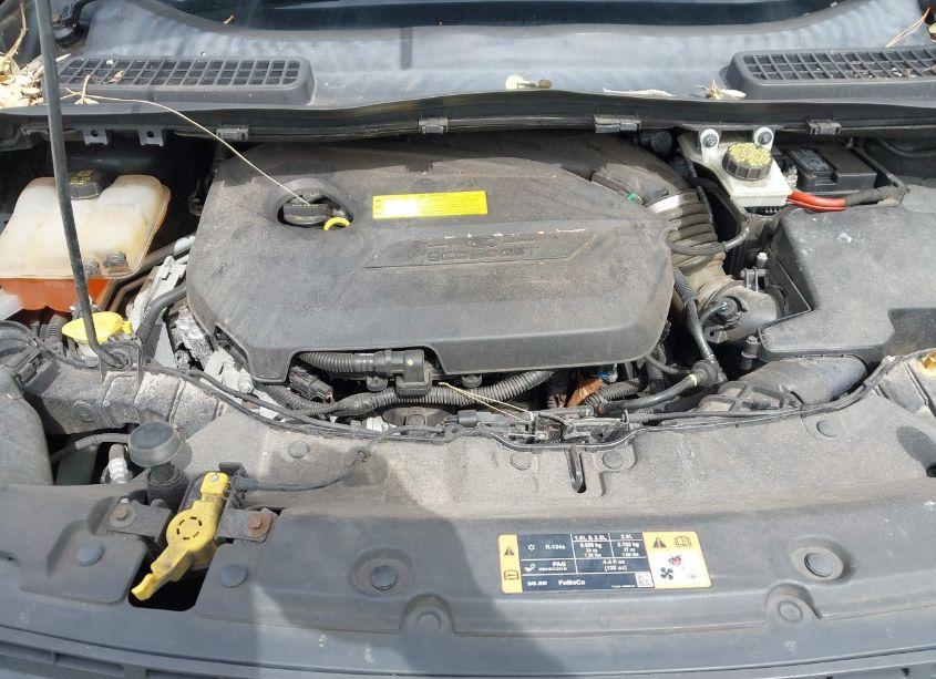 Photo 10 of 2015 Ford Escape SE (VIN 1FMCU0GXXFUB26304)