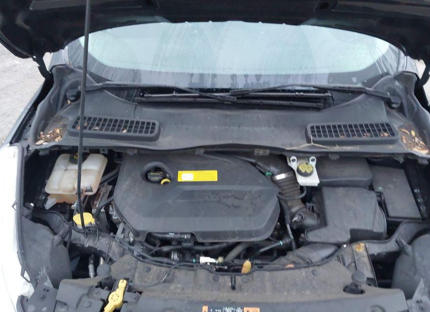 Photo 10 of 2015 Ford Escape SE (VIN 1FMCU0GXXFUB33303)