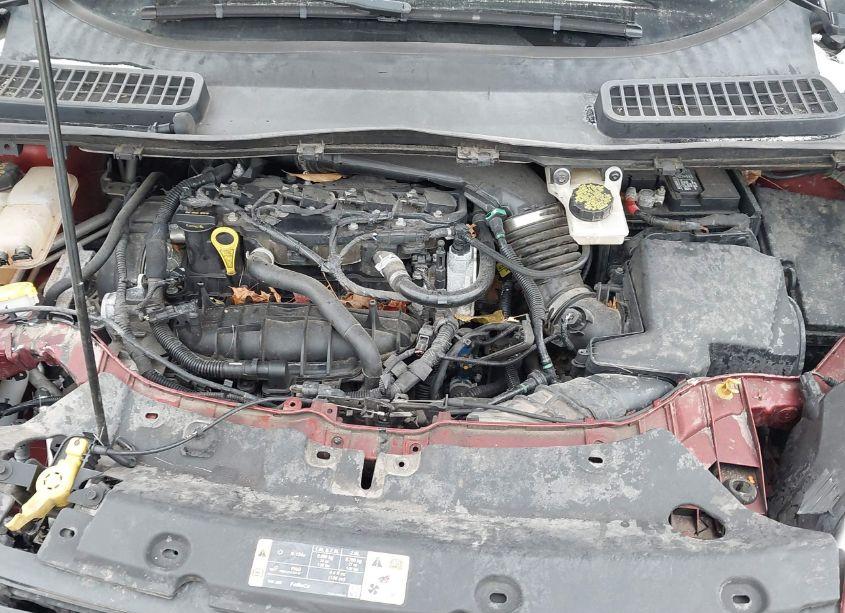 Photo 10 of 2015 Ford Escape SE (VIN 1FMCU0GXXFUB46696)