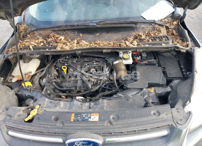 Photo 10 of 2015 Ford Escape SE (VIN 1FMCU0GXXFUB71159)