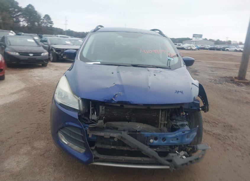 Photo 13 of 2015 Ford Escape SE (VIN 1FMCU0GXXFUC81824)