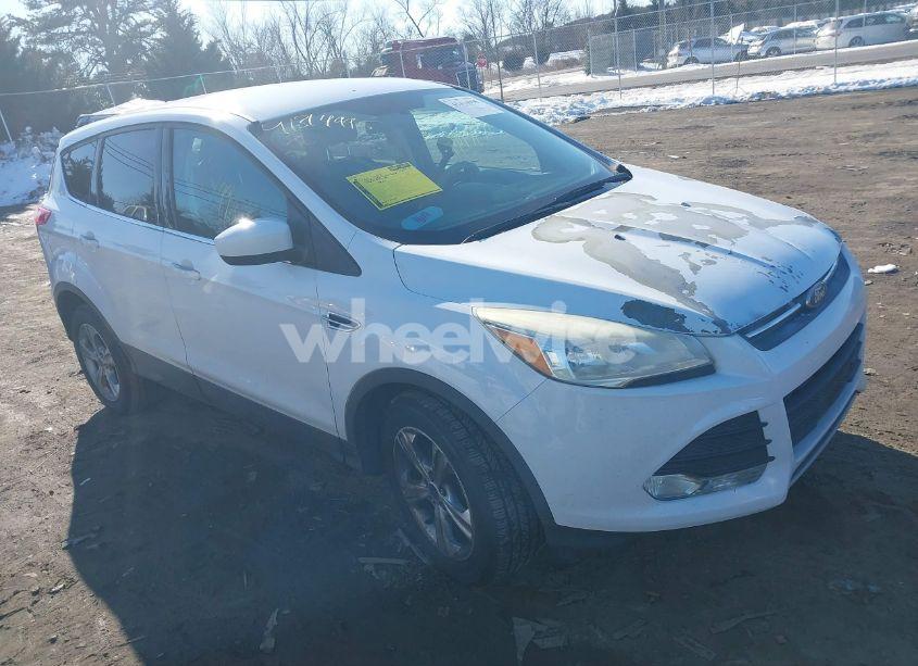 2016 Ford Escape SE (VIN 1FMCU0GXXGUA13907) main photo