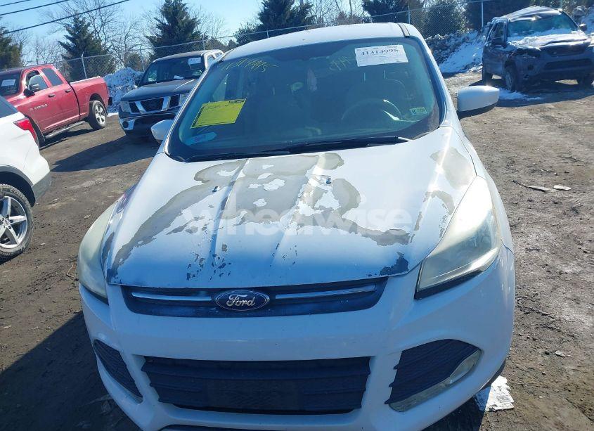 Photo 13 of 2016 Ford Escape SE (VIN 1FMCU0GXXGUA13907)