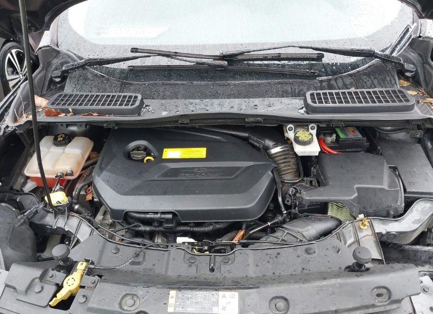 Photo 10 of 2016 Ford Escape SE (VIN 1FMCU0GXXGUB13022)