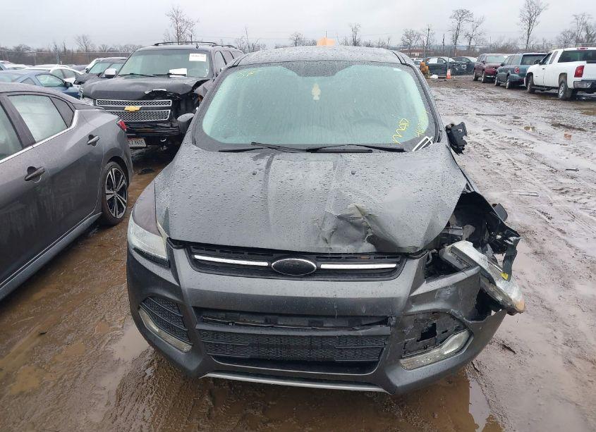 Photo 13 of 2016 Ford Escape SE (VIN 1FMCU0GXXGUB13022)