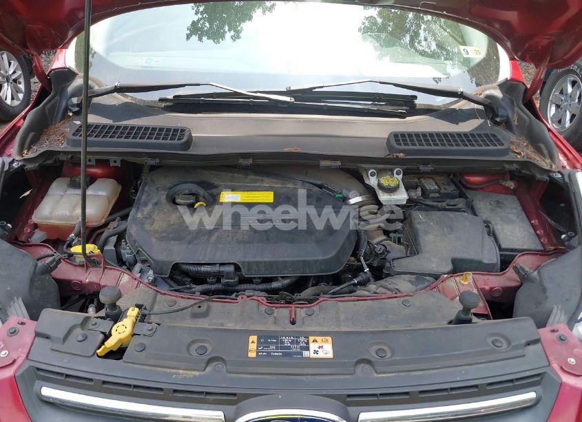 Photo 10 of 2016 Ford Escape SE (VIN 1FMCU0GXXGUC52308)