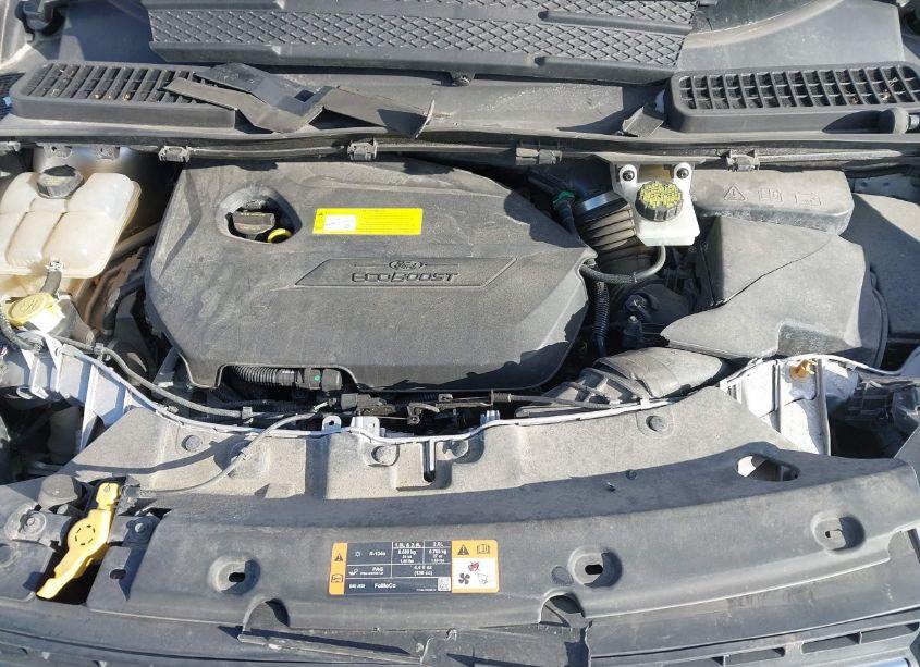 Photo 10 of 2016 Ford Escape SE (VIN 1FMCU0GXXGUC53992)